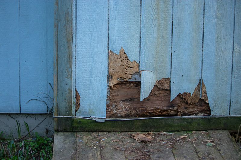 Expert Siding Repair