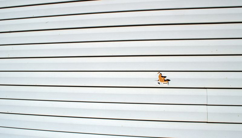 Vinyl Siding Repair - Professional Work